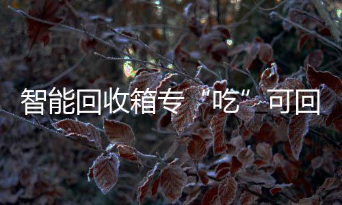 智能箱专垃圾吃可回收回收